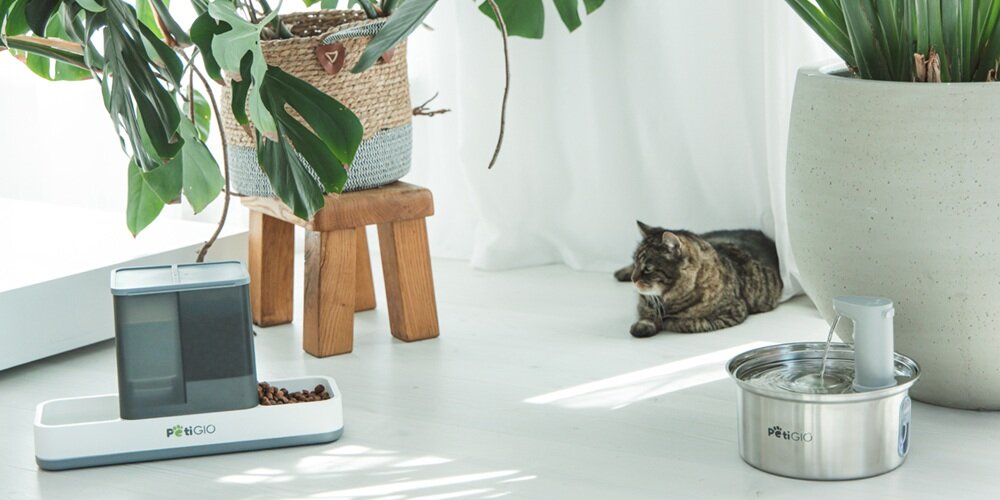 Dozownik na wodę i karmę 2w1 dla zwierząt