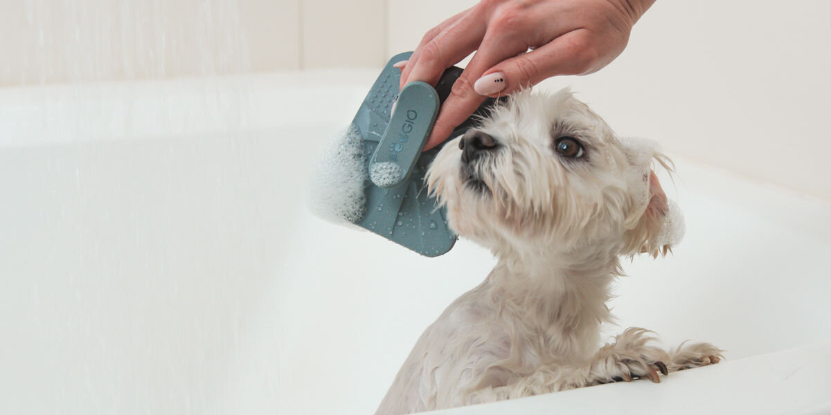 Szczotka do kąpieli dla zwierząt PetiGio w dłoni masuje spienionego psa w wannie pod prysznicem.