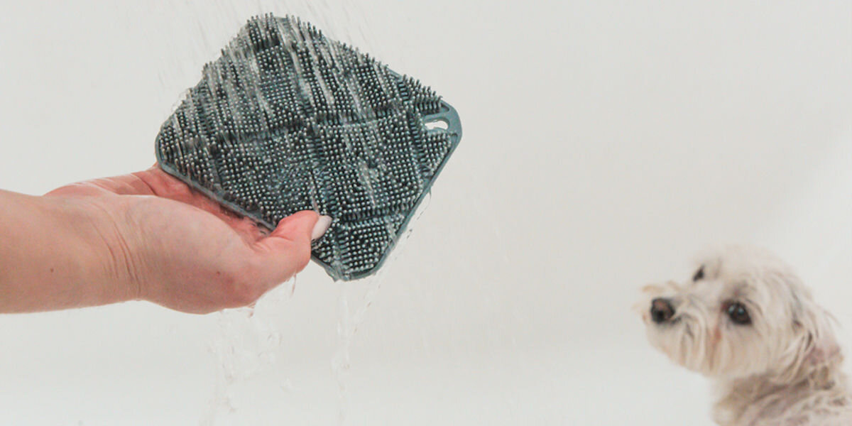 Zbliżenie na spód: silikonowe wypustki, z których składa się szczotka do kąpieli dla zwierząt PetiGio, spłukiwane wodą z prysznica. W tle pies.