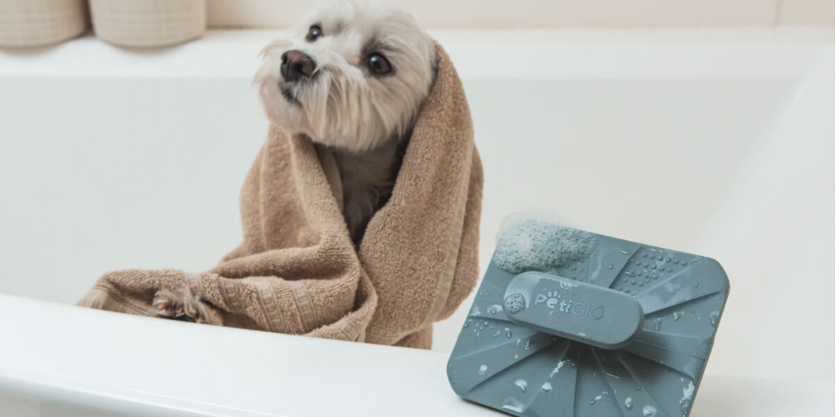 Mały pies owinięty brązowym ręcznikiem po kąpieli w wannie, szczotka do kąpieli dla zwierząt PetiGio z pianą na krawędzi wanny.