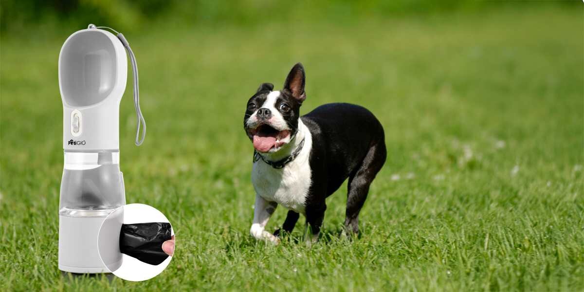 Butelka 4w1 dla psa czarno-biały pies rasy Boston Terrier (lub podobnej) z otwartym pyskiem, biegnie radośnie po zielonej trawie. Po lewej stronie, na pierwszym planie, znajduje się przenośne poidło dla psa z widocznym wbudowanym dozownikiem worków na odchody (ręka wyciąga czarny worek)