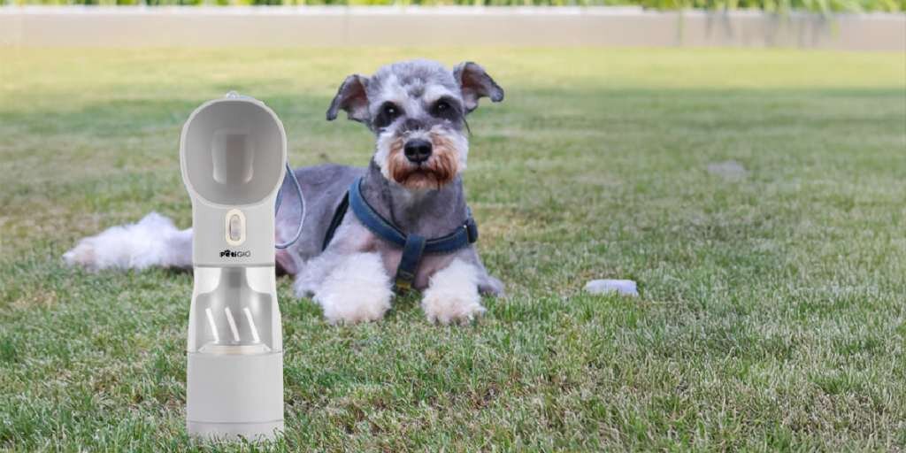 Butelka 4w1 dla psa szary pies rasy Sznaucer miniaturowy (lub podobny) leży na zielonej trawie. Na pierwszym planie, po lewej stronie, stoi przenośna butelka-poidło dla psa. W tle rozmyty budynek i trawa