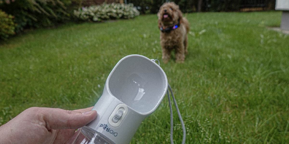 Butelka 4w1 dla psa zbliżenie na dłoń trzymającą przenośne poidło dla psa (z miseczką na górze) z widocznym logo PetGIO na tle rozmytej zielonej trawy. W tle, rozmyty brązowy pies rasy Cockapoo (lub podobnej) z podświetlaną obrożą stoi na trawie
