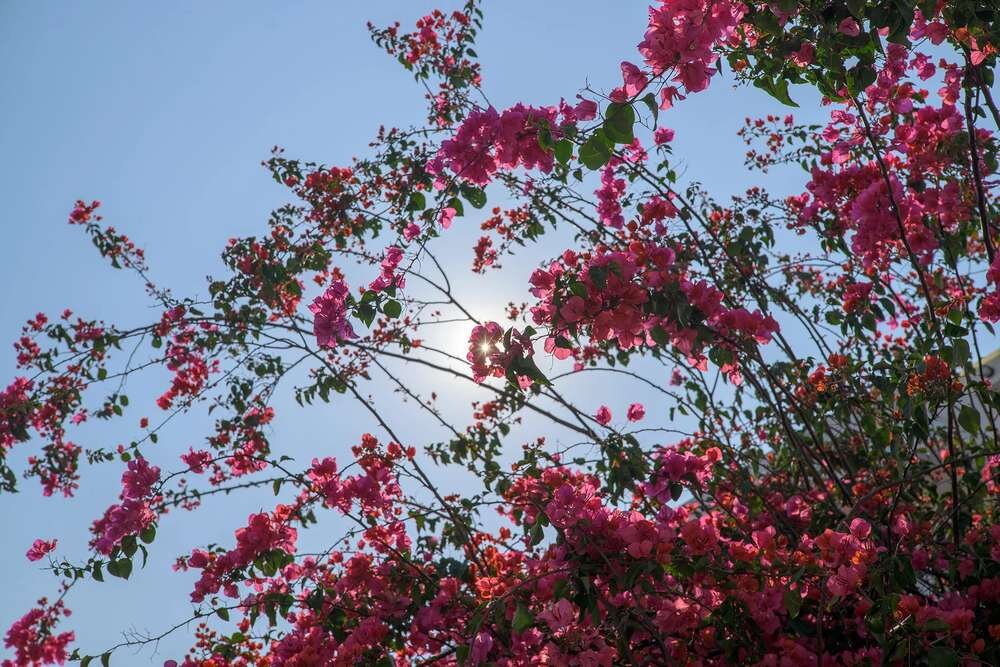 VILTROX AF 50mm f-2.0 Air kompaktowy lekki obiektyw pełnoklatkowy do fotografii podróżniczej i miejskiej