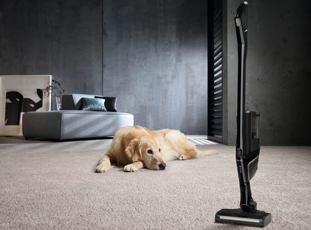 Na dywanie w nowoczesnym wnętrzu leży pies, a obok stoi pionowy odkurzacz. W tle widoczna jest szara sofa z poduszkami oraz obraz oparty o ścianę.