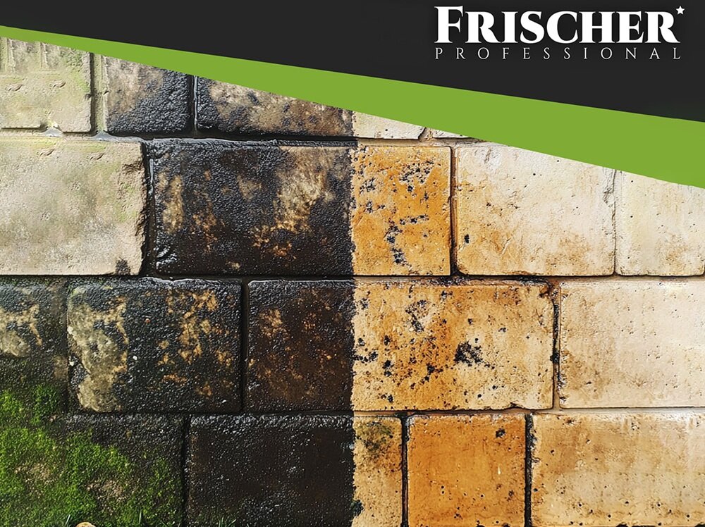 Płyn do czyszczenia elewacji FRISCHER Professional 5 l czyszczenie elewacji, duża powierzchnia