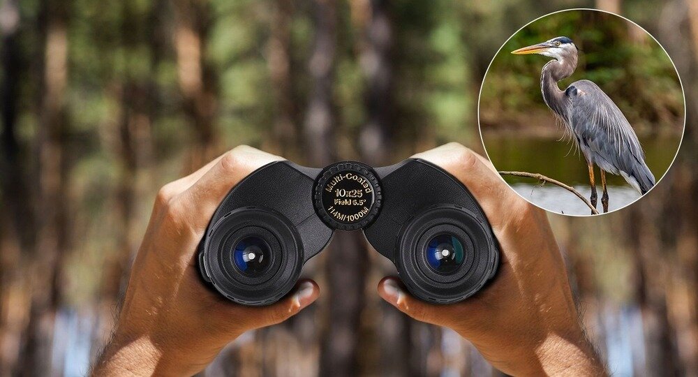 Lornetka K&F CONCEPT KF33.095  Kąt widzenia 6,5° i szerokie pole 114 m na 1000 m  powiększenie 10x