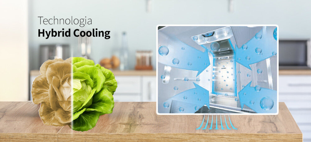 LODÓWKA SHARP SJ-MP780D-SL 4D ION PLASMACLUSTER zdjęcie lifestyle sałata podzielona na pół porównanie Technologia chłodzenia Hybrid Cooling równomierne chłodzenie hybrydowy system chłodzenia Full No Frost chłodzenie statyczne