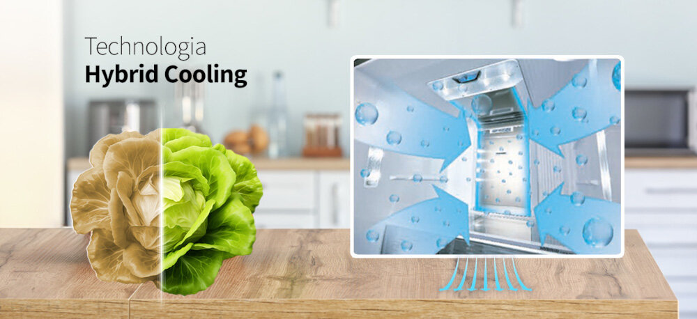 LODÓWKA SHARP SJ-MP780D-BS 4D ION PLASMACLUSTER zdjęcie lifestyle sałata podzielona na pół porównanie Technologia chłodzenia Hybrid Cooling równomierne chłodzenie hybrydowy system chłodzenia Full No Frost chłodzenie statyczne