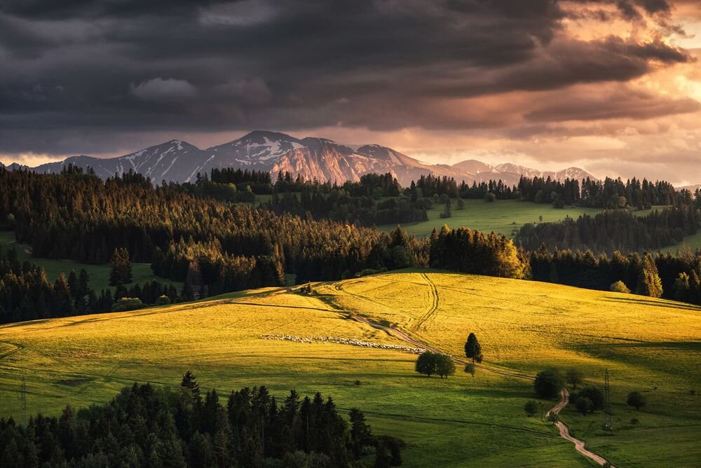 Obiektyw SIGMA 70-200 mm f-2.8 DG OS Sports korekcja aberracji dystorsji w aparacie