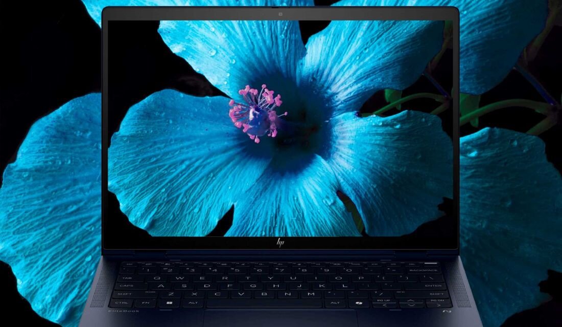 Laptop HP EliteBook X Flip w srebrnej obudowie z ekranem prezentującym żywy, niebieski kwiat hibiskusa z różowym pręcikiem na ciemnym tle, podkreślający jakość wyświetlacza. - 14-calowy ekran 2.5K (2560 x 1600 px)  
