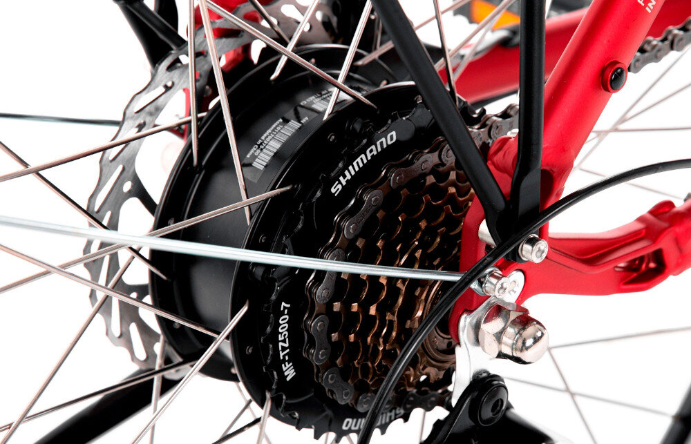 Rower elektryczny PROECO Wave AN 1.0 M19 28 cali Czerwony zbliżenie na silnik wytrzymały bezszczotkowy silnik renomowanej marki ANANDA moc 250 W cicha i wydajna praca umiejscowiony w tylnej piaście niezauważalny