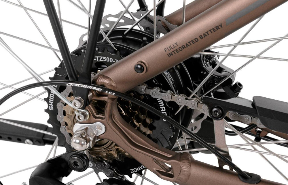Rower elektryczny PROECO Wave AN 1.0 M17 28 cali Brązowy zbliżenie na silnik wytrzymały bezszczotkowy silnik renomowanej marki ANANDA moc 250 W cicha i wydajna praca umiejscowiony w tylnej piaście niezauważalny