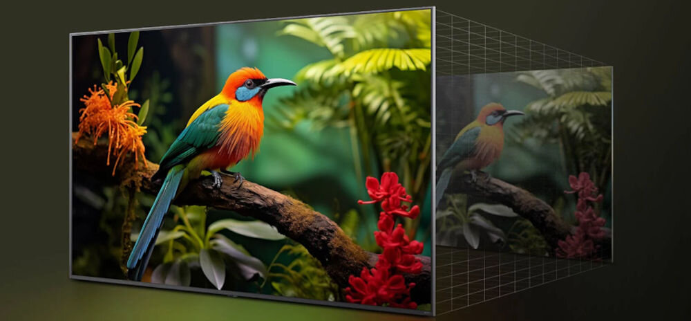 Telewizor LG 65NANO81A6A 4K Super Upscaling wyrazistość jasność, obraz ptaka w swoim naturalnym środowisku