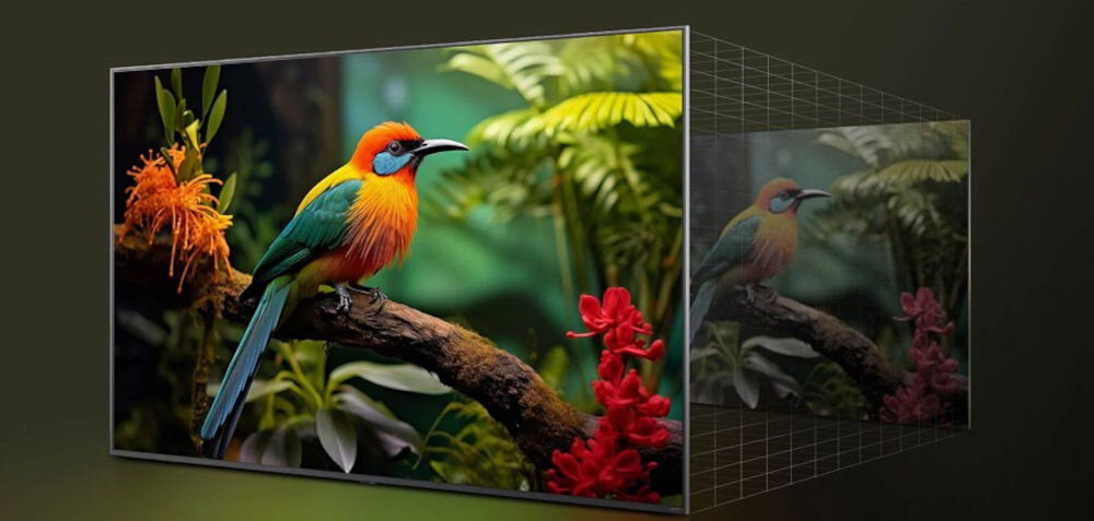 Telewizor LG 65QNED80A6A 4K Super Upscaling poprawiona jakość obrazu, ekran telewizora z wyświetlanym egzotycznym ptakiem