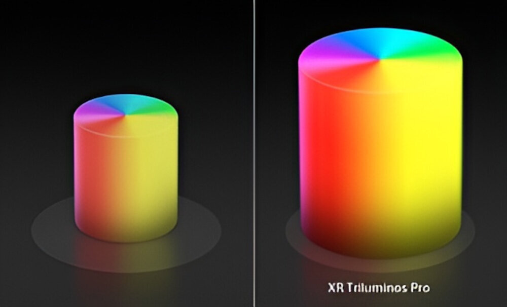 SONY BRAVIA 8 K-77XR80PAEP Paleta kolorów XR Triluminos Pro kolory są żywe i realistyczne