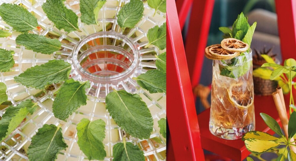 Suszarka do owoców ETA Secca 730190000 w użyciu, delikatne podsuszanie, zabezpieczenia