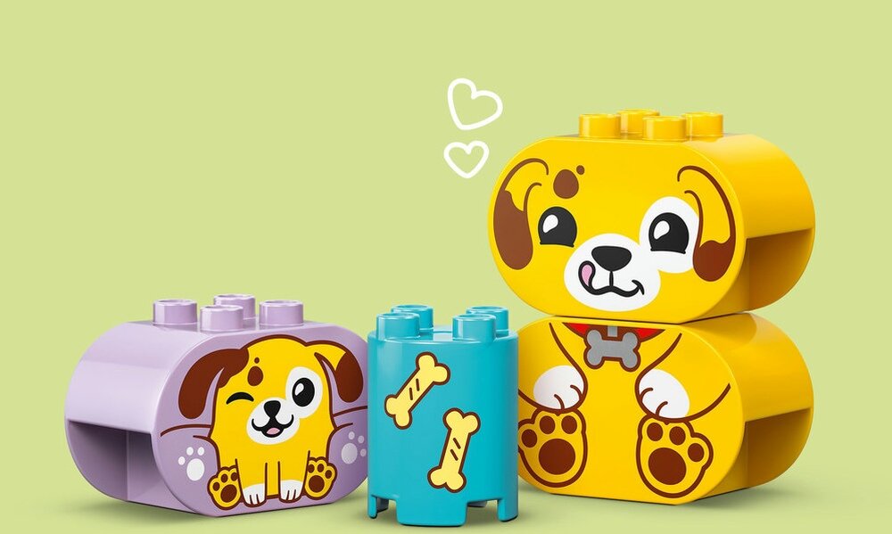 LEGO 10441 DUPLO Sorter kształtów: dom szczeniaczków  zabawa w sortowanie kształtów