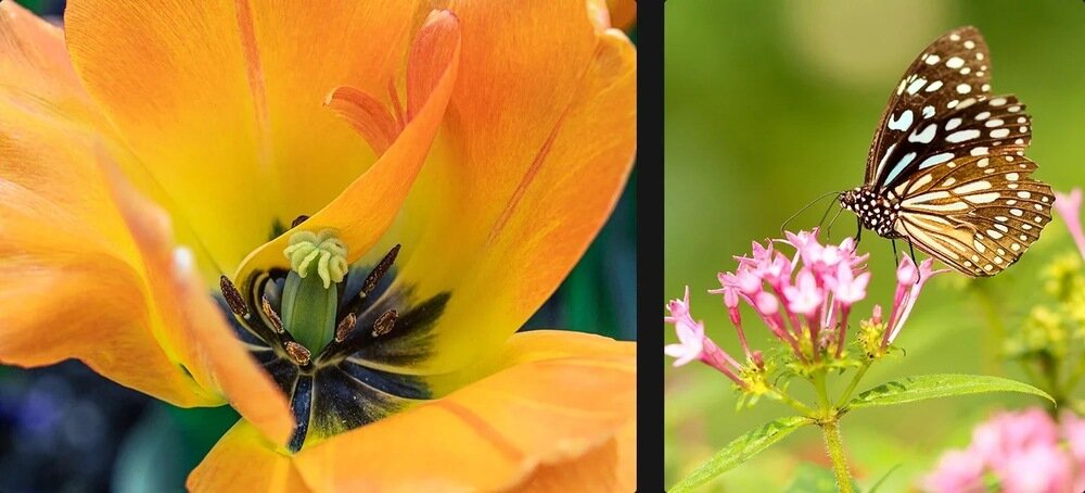 ULEFONE Power Armor 16S aparat makro 2MP zdjęcia z bliska detale