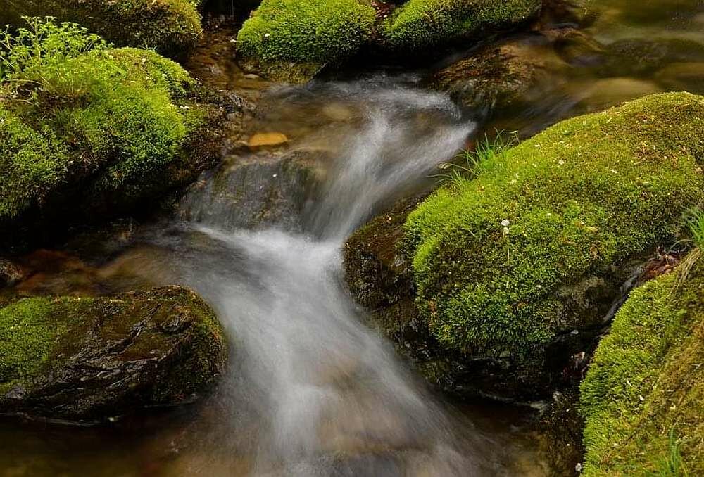 Obiektyw NIKON AF-S DX Micro ED 40 mm f-2.8G  optyka soczewki af autofocus przysłona ogniskowa bagnet montaż 