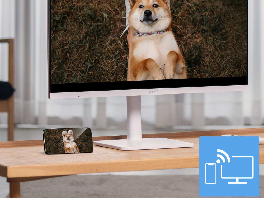 Monitor MSI Modern MD272UPSW 27 cali 3840x2160px IPS 4 ms [GTG] prezentacja działania technologii na smartfonie i monitorze wyświetlany jest pies na trawie Google Cast rzucanie filmów z telefonu na monitor oszczędność czasu
