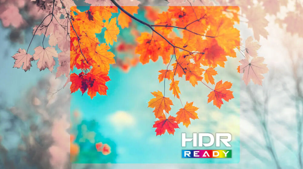 Monitor MSI Pro MP275QPG 27 cali 2560x1440px IPS 100Hz 1 ms [MPRT] technologii HDR Ready liście drzewa wyraźne detale realistyczny obraz komfort oglądania