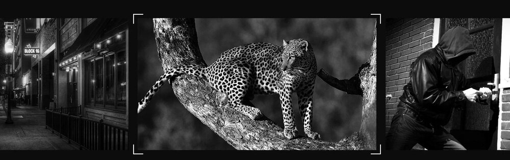 Smartfon ULEFONE Armor 30 Pro aparat noktowizyjny 64MP OV64B NightElf 3.0 IR LED