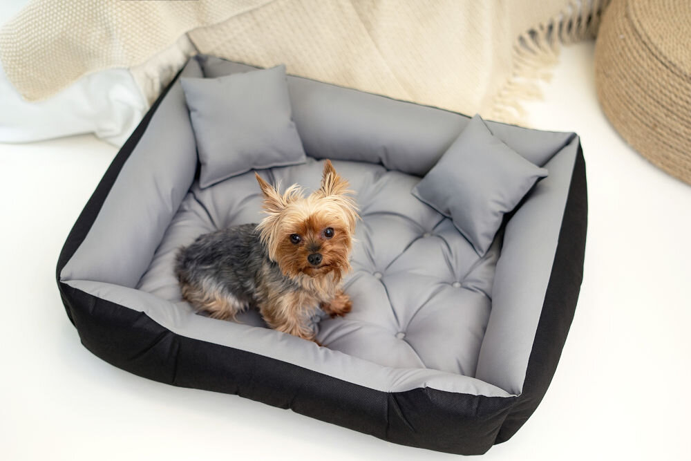 Legowisko dla psa PRESTIGE Ecco M jasnoszare 75x65x20 cm z miękkimi poduszkami Pies rasy Yorkshire Terrier stoi w czarno-szarym, prostokątnym legowisku z pikowaną poduszką i dwoma szarymi poduszkami. Zdjęcie z góry.