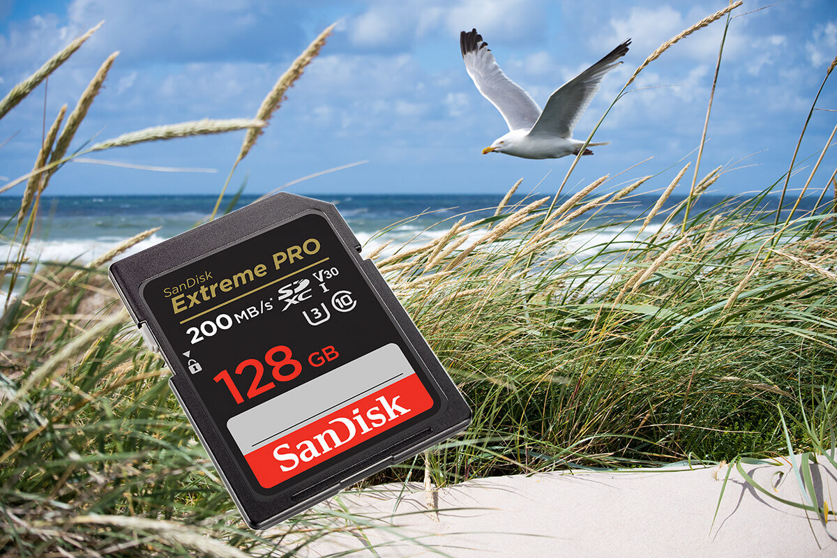 karta sandisk zdjecie lifestyle