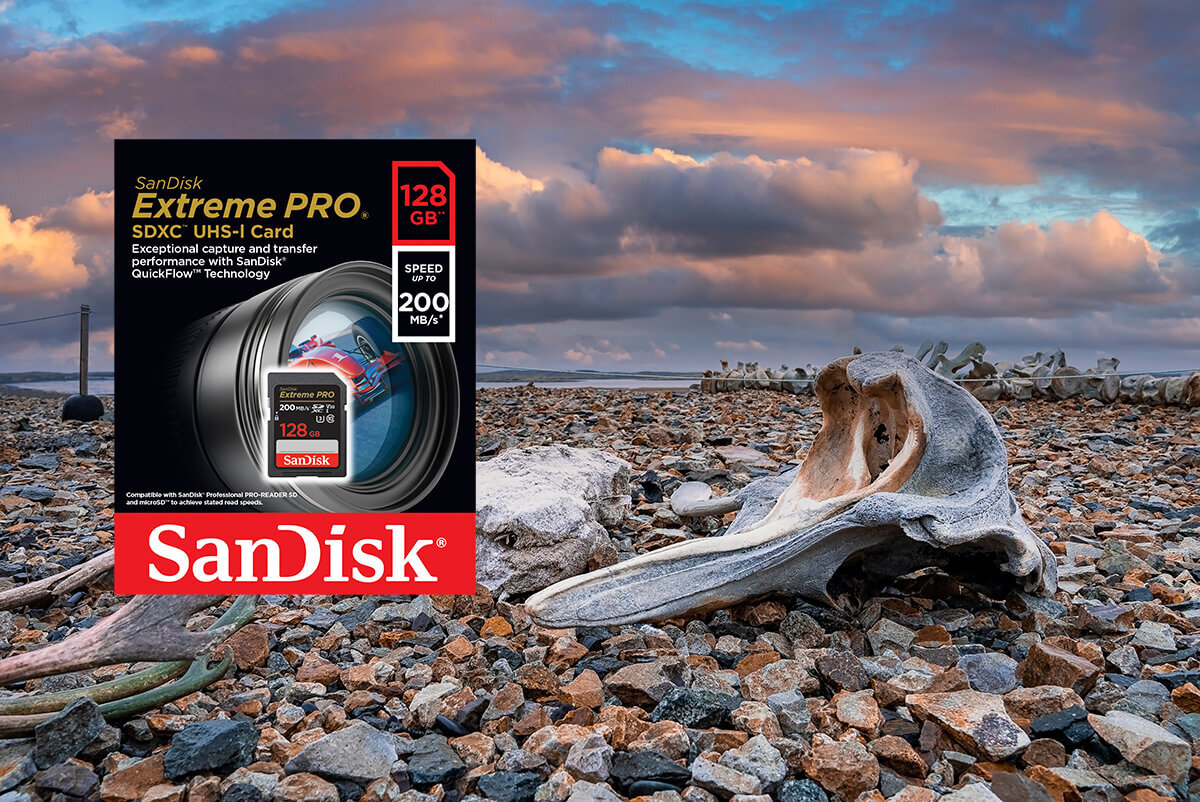 karta sandisk zdjecie lifestyle