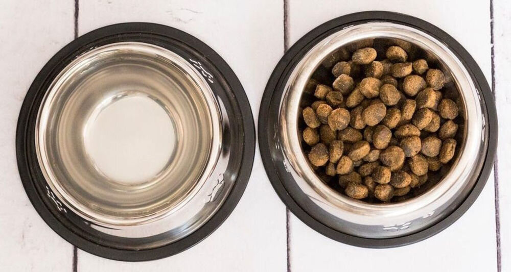 Dwie stalowe miski na białym tle, jedna wypełniona wodą, a druga suchą karmą dla zwierząt. Miska z karmą jest pełna brązowych granulek.