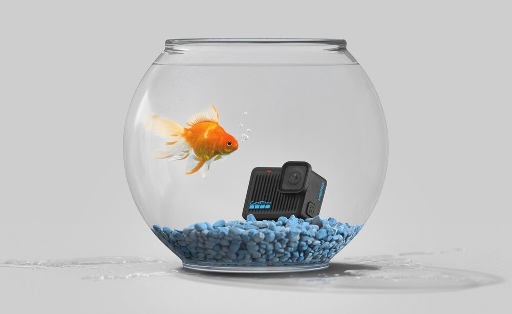 Szklana kula z wodą i niebieskimi kamykami, w której znajduje się złota rybka oraz kamera sportowa z widocznym logo GOPRO.