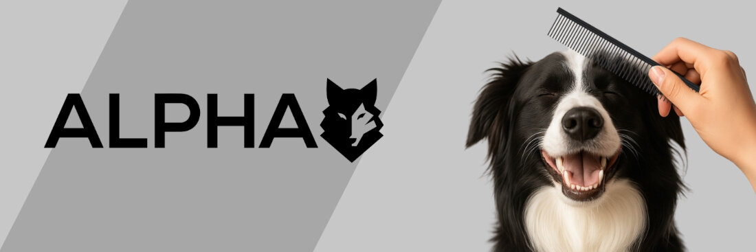 Zestaw do pielęgnacji sierści ALPHA DG-01 5 elementów wygląd design prezentacja wizualizacja Pielęgnacja pupila w domu