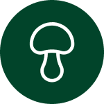 Ikona przedstawiająca biały grzyb na ciemnozielonym tle.