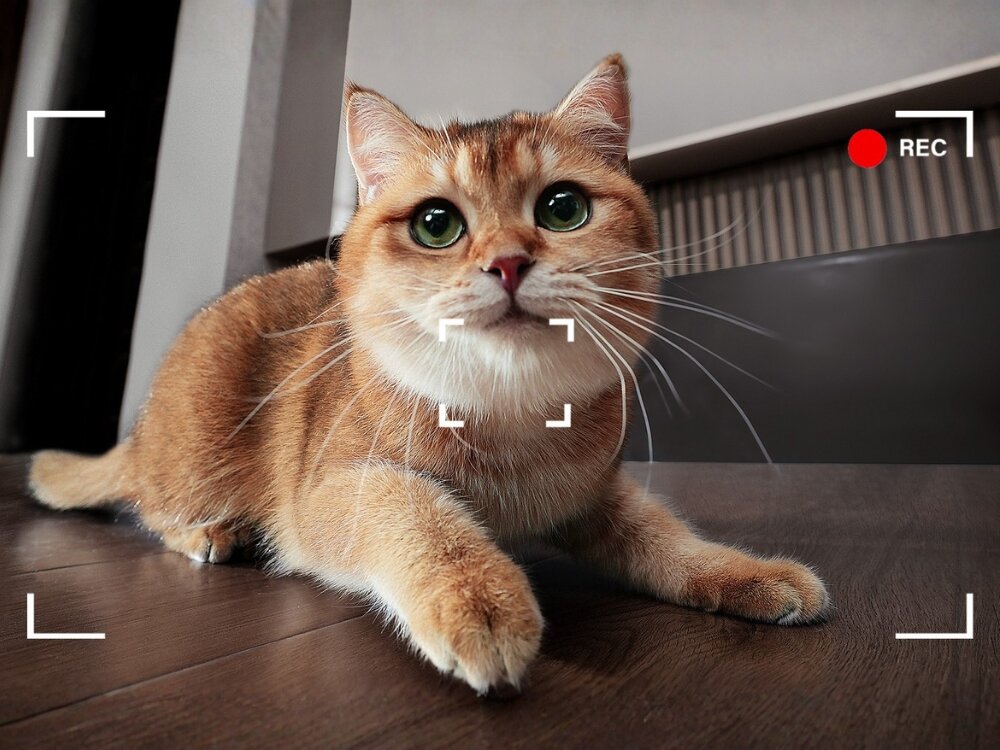 Inteligentny robot ENABOT Ebo Air 2 Plus Biały Zdalny dostęp aplikacja mobilna lokalne przechowywanie nagrań na karcie microSD szyfrowana transmisja danych automatycznie zapisywane w chmurze bezpieczeństwo Twoich danych