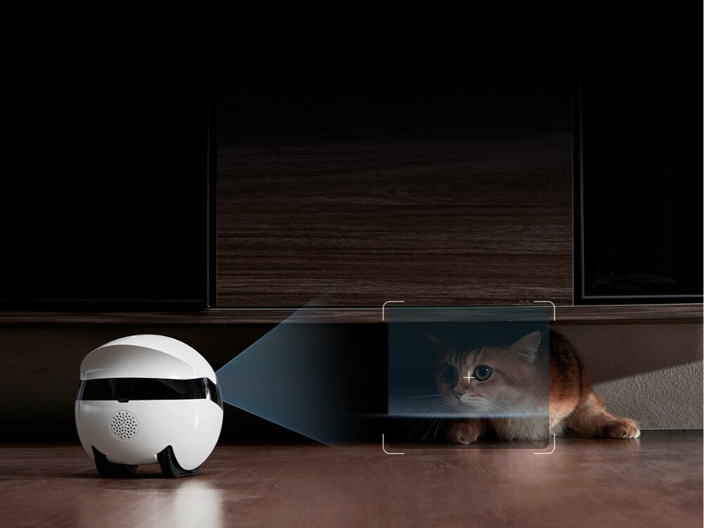 Inteligentny robot ENABOT Ebo Air 2 Plus Szary robot obok kota rozpoznawanie ruchy śledzenie osób zwierząt współpraca z modelami językowymi