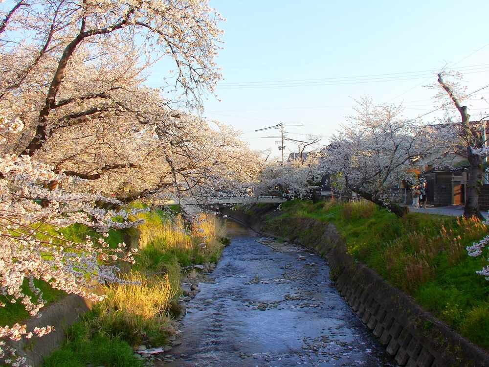 Yashica City 200 odchylany ekran LCD 2.8 cala selfie vlogowanie kreatywne kadry