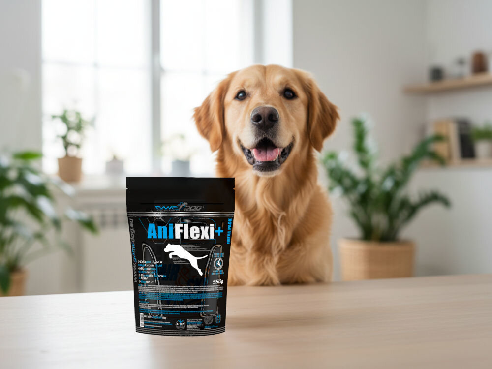 Suplement dla psa GAME DOG AniFlexi+ V2 Uśmiechnięty pies rasy Golden Retriever, obok suplement diety AniFlexi Marine V2.