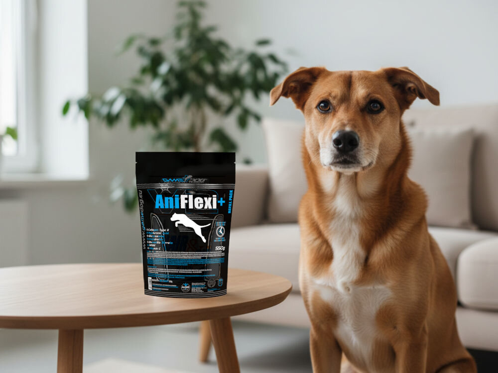 Suplement dla psa GAME DOG AniFlexi+ V2 Pies rasy mieszanej siedzący obok suplementu AniFlexi Marine V2, wspierającego ruchomość stawów.