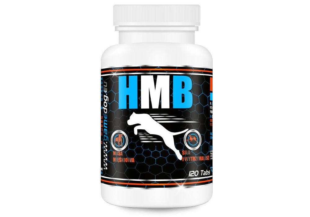 Suplement dla psa GAME DOG HMB (120 kapsułek) Białe opakowanie probiotyku dla psa Flora Protect, z zieloną etykietą, sylwetką psa oraz logo Diamenty Zoologii. Widoczna informacja 