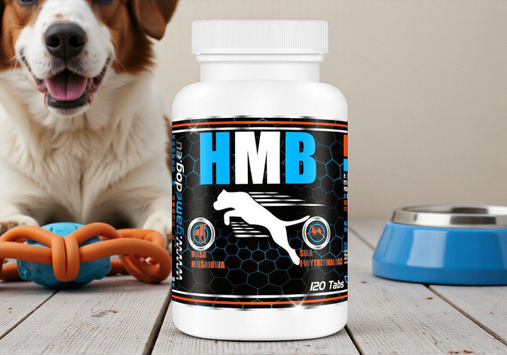 Suplement dla psa GAME DOG HMB (120 kapsułek) Zbliżenie na cztery beżowe kapsułki suplementu Flora Protect ułożone na jasnym tle. Kapsułki są półprzezroczyste i mają matową powierzchnię.