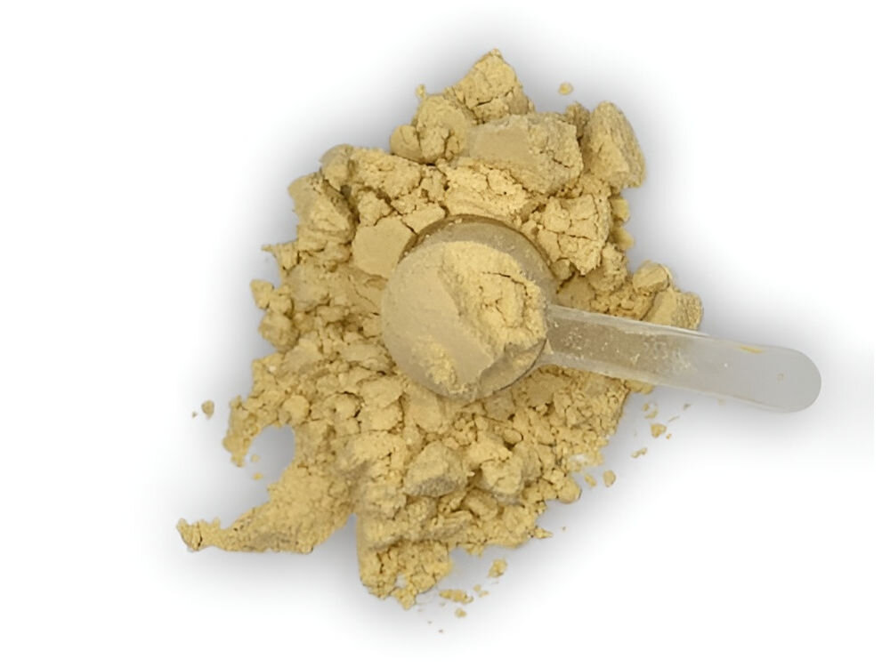 GAME DOG Muscle Booster tauryna bromelaina witaminy B – regeneracja psa po treningu, uraz sportowy, rekonwalescencja, agility canicross Zbliżenie na sypką teksturę suplementu Muscle Booster z miarką, prezentujące drobną formę proszku o beżowym odcieniu.