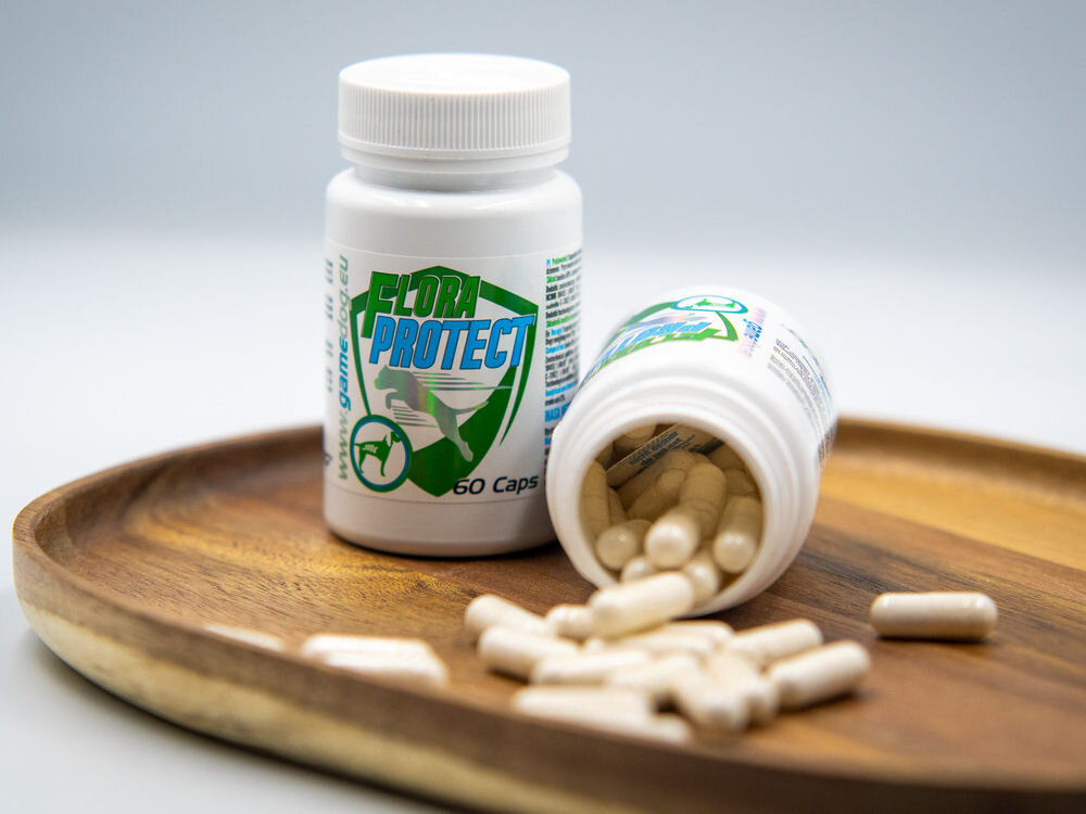 Suplement dla psa GAME DOG Flora Protect Probiotyk (60 kapsułek) Dwa białe opakowania suplementu Flora Protect dla psów. Jedno stoi pionowo, a drugie leży na boku, z którego wysypują się beżowe kapsułki na drewnianą deskę. Scena sugeruje naturalne wsparcie flory bakteryjnej.