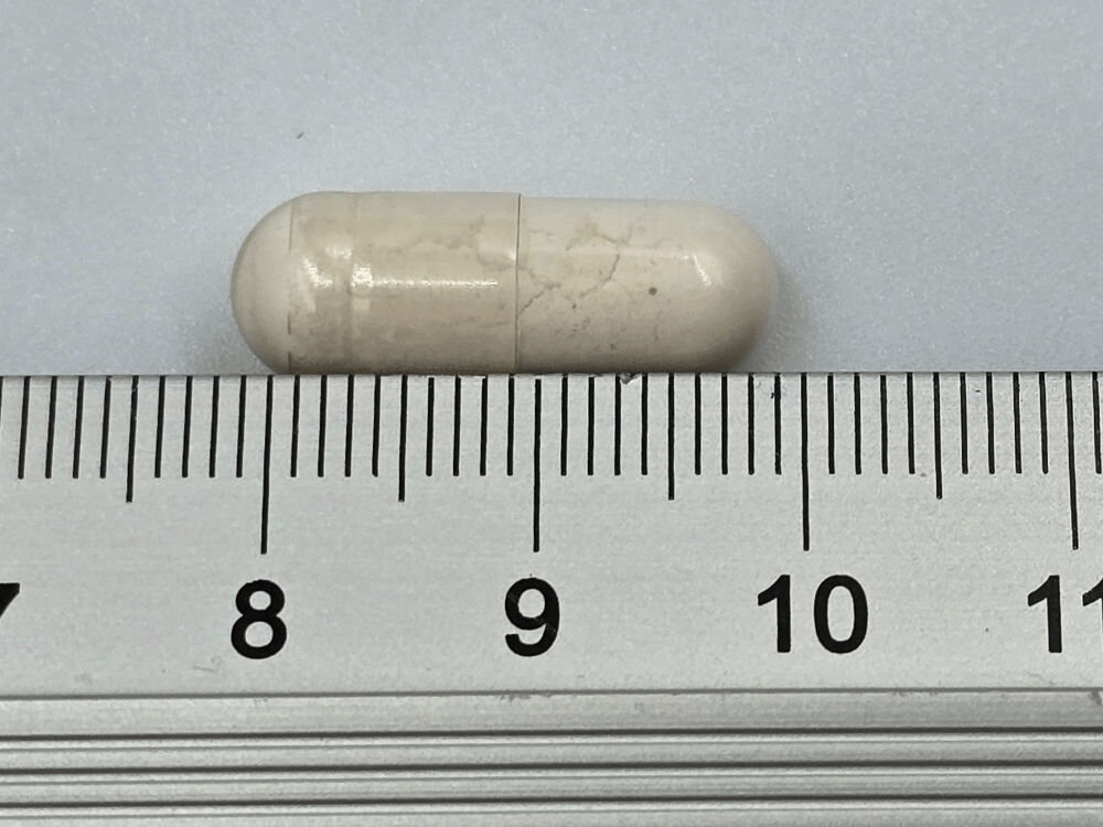 Suplement dla psa GAME DOG Flora Protect Probiotyk (60 kapsułek) Zbliżenie na jedną beżową kapsułkę suplementu Flora Protect umieszczoną na podziałce linijki. Kapsułka ma około 2 cm długości (od znacznika 8 do 10 cm).