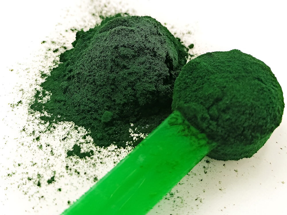 Suplement dla psa GAME DOG Barfer Kelp 300 g Proszek suplementu Barfer Rose Hip (Dzika Róża) dla psa w miarce.