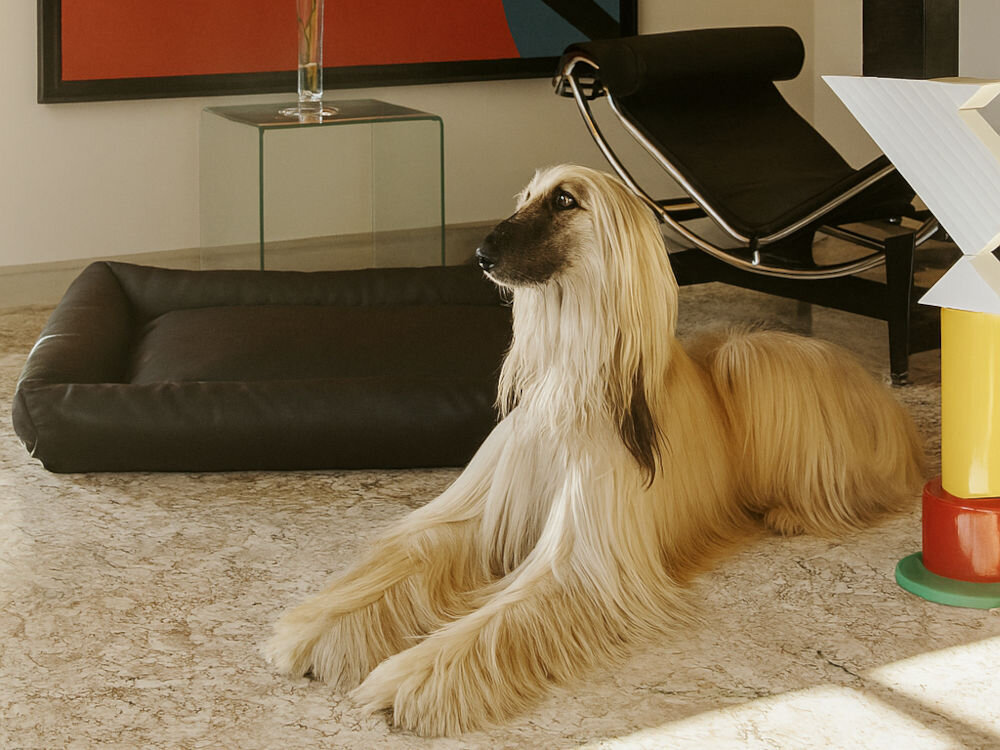 Legowisko dla psa E-DOGGY Den pies leżący na legowisku cyrkulacja powietrza utrzymanie higieny