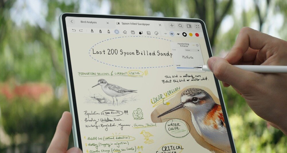Tablet HUAWEI MatePad Pro 12.2 notatki o ptakach, notatki tekstowe głosowe  odręczne