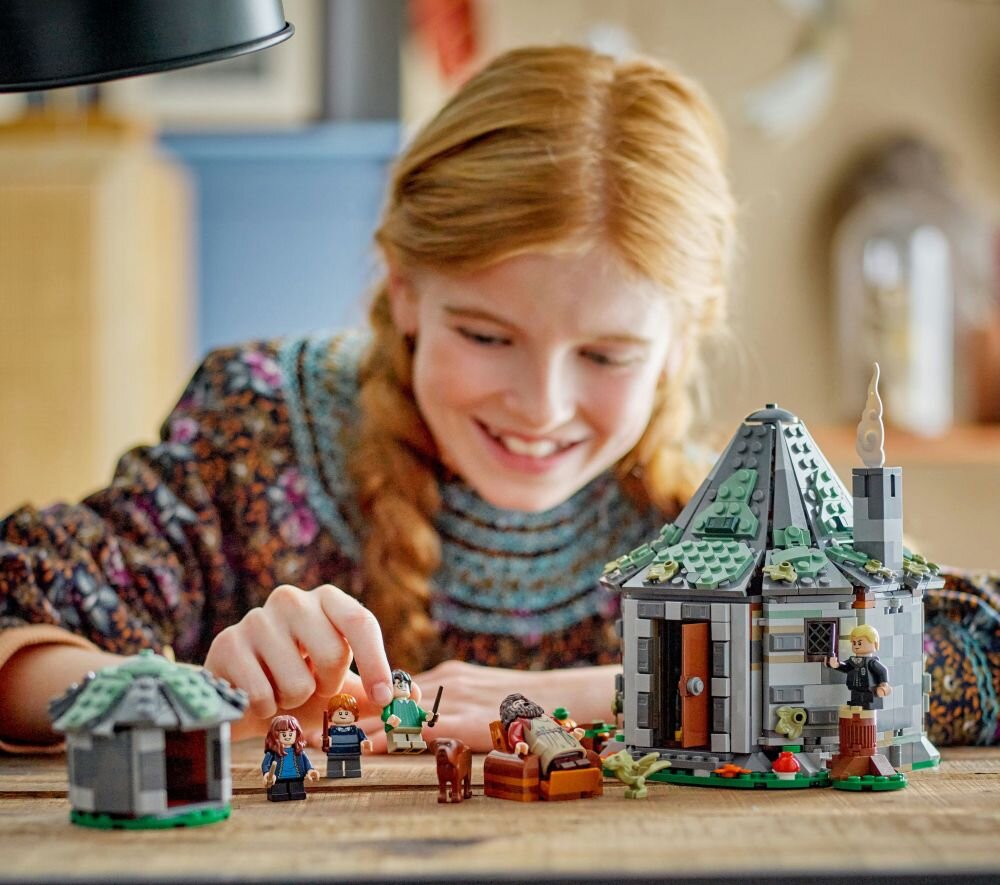 LEGO 76428 Harry Potter Chatka Hagrida Niespodziewana wizyta film