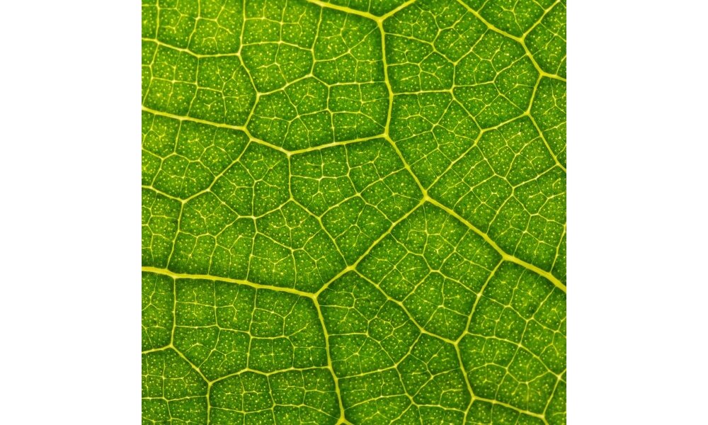 Obiektyw SIGMA AF 105-2.8 Macro EX DG OS HSM    ogniskowa AF mocowanie przysłona zdjęcia 