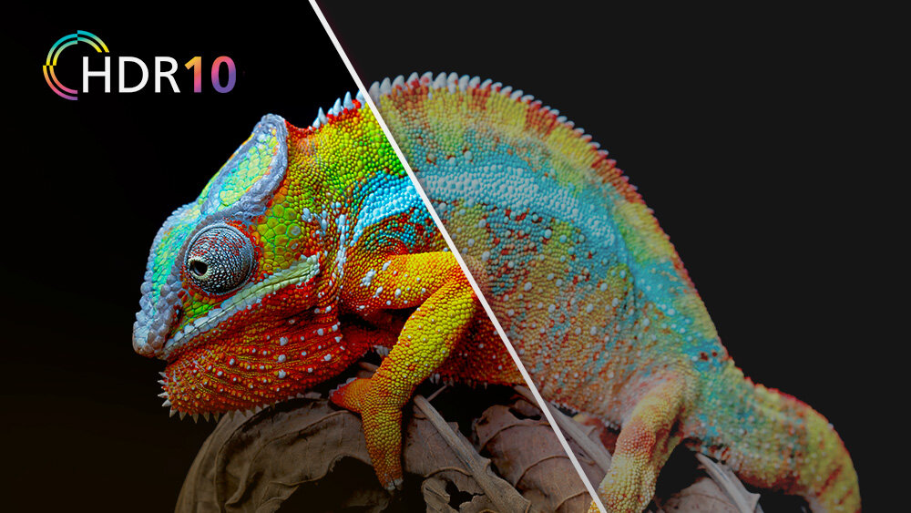 Telewizor JVC LT-32VQF550D - Obraz Full HD z HDR10, kameleon pokazany z jakości hdr10 i zwykłej